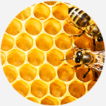 tekstimage3 150x150 - SINOMEL – BILJNI MELEM ZA SINUSE